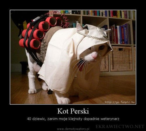 KICIUŚ
