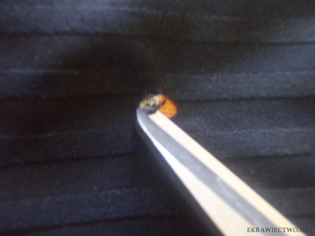 przycięcie stopionego materiału