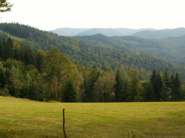 Pozdrowienia z Niemcowej