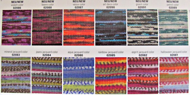 Schachenmayr brawo jacguart color