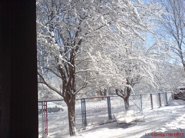15/03/2010
