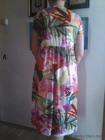 model 142 , Burda 5/2010