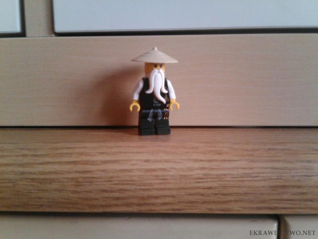Sensei Wu