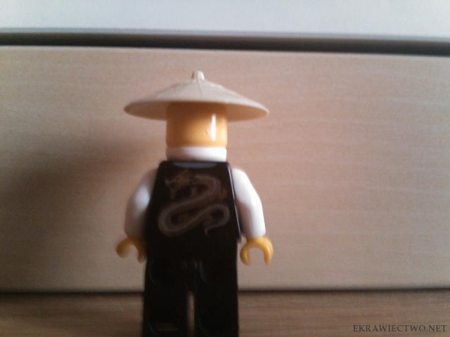 Sensei Wu. Plecy